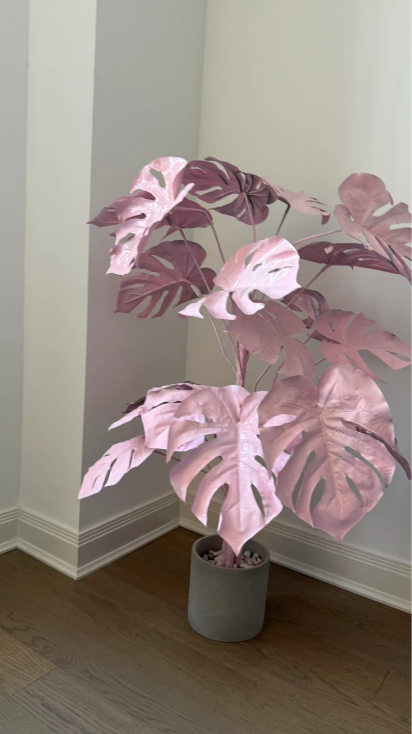 Hand Painted Monstera Plant in Concrete Pot - photo 2