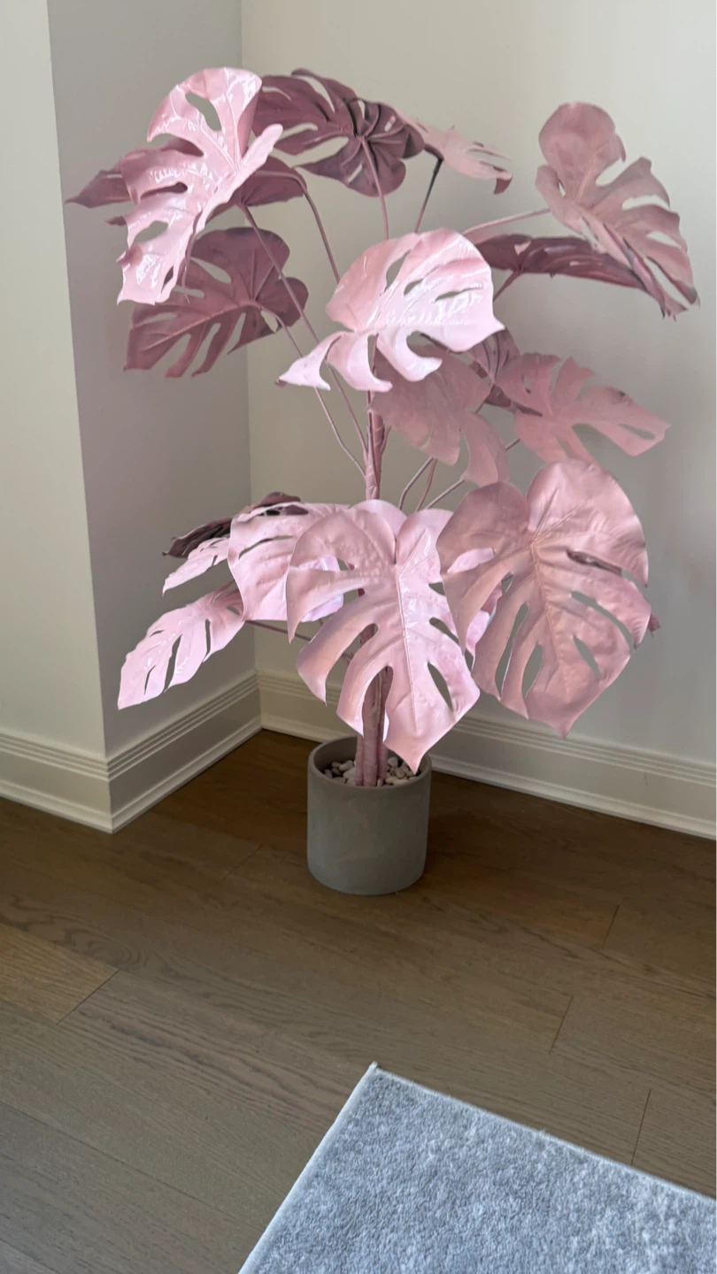 Hand Painted Monstera Plant in Concrete Pot