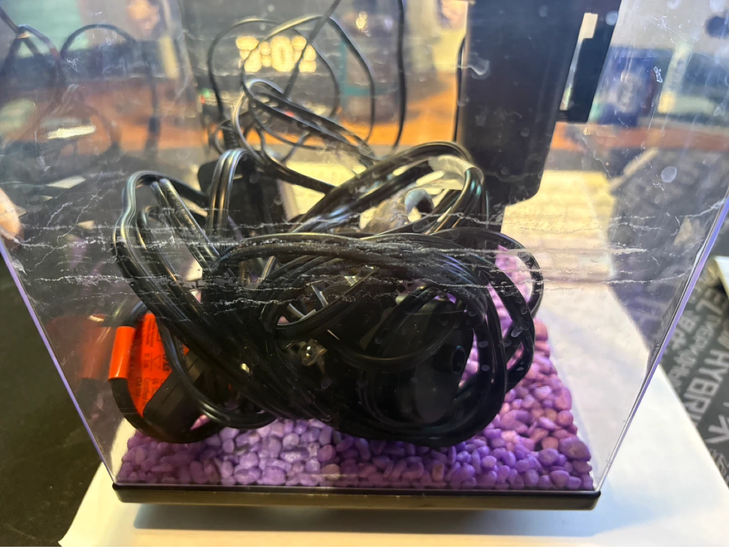 Small Hexagonal Fish Tank