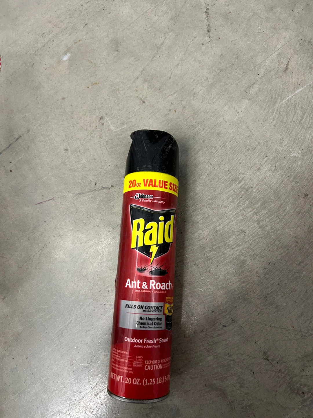 Raid Ant & Roach Killer Spray - Outdoor Fresh Scent - 20 oz