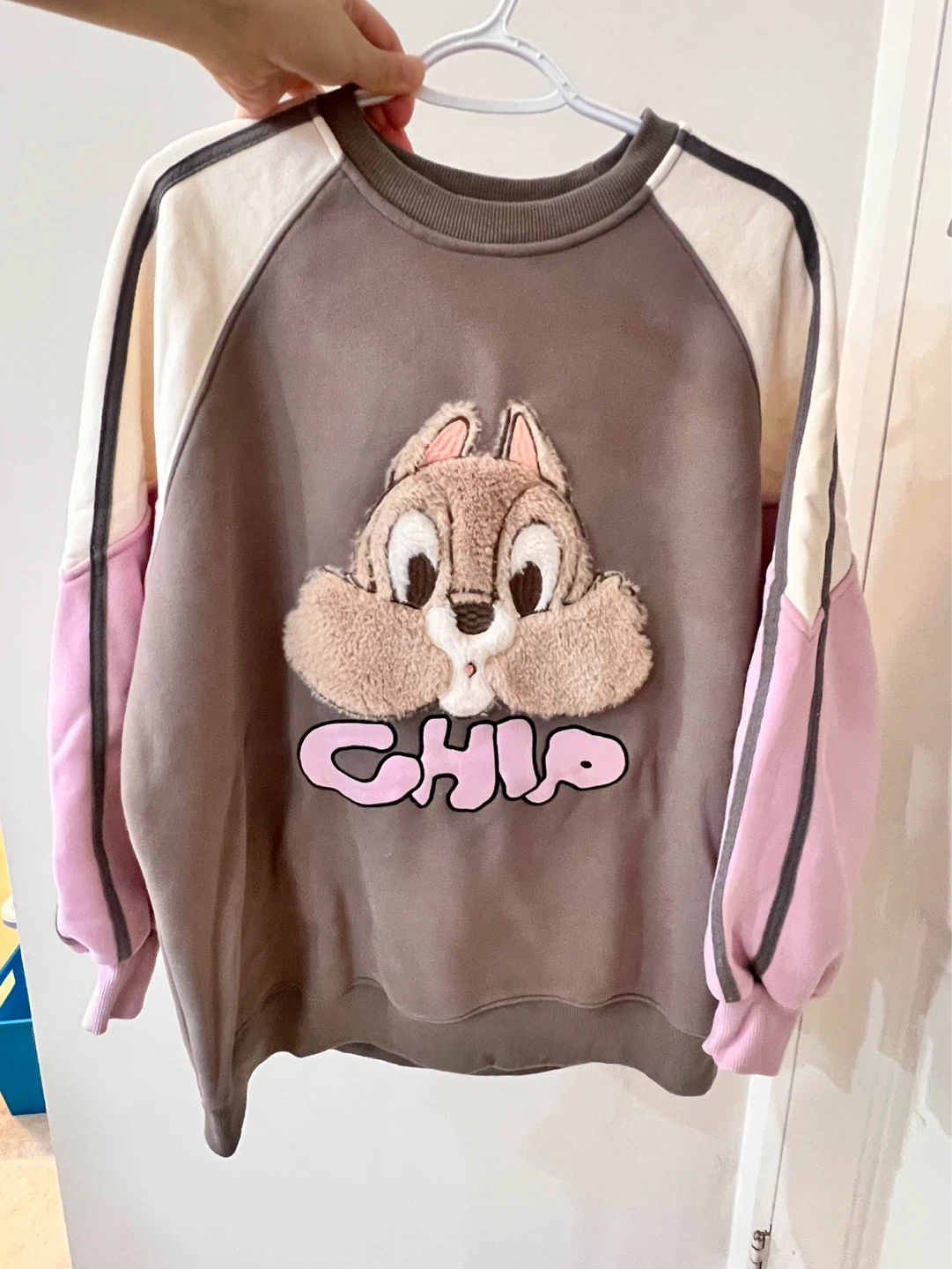 Chip 'n Dale Graphic Sweatshirt