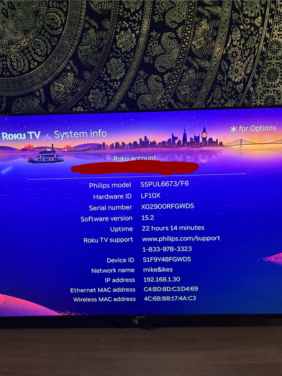 Roku Phillips 55” TV 55PUL6673/F6 - photo 2