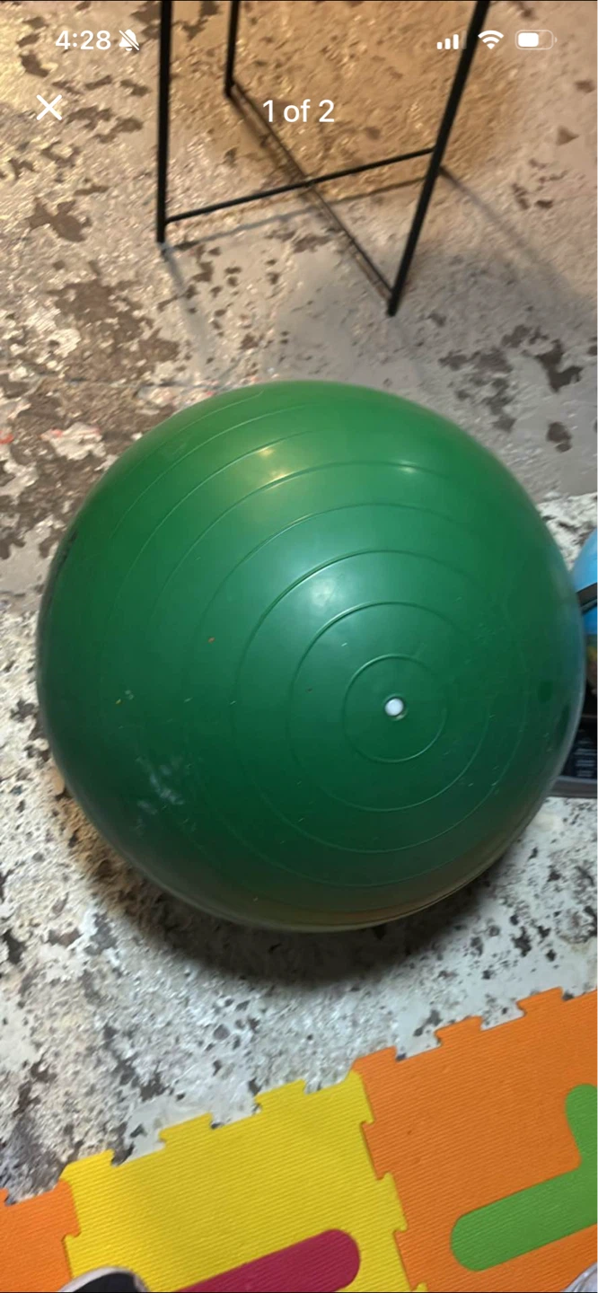 Exercise / workout ball.