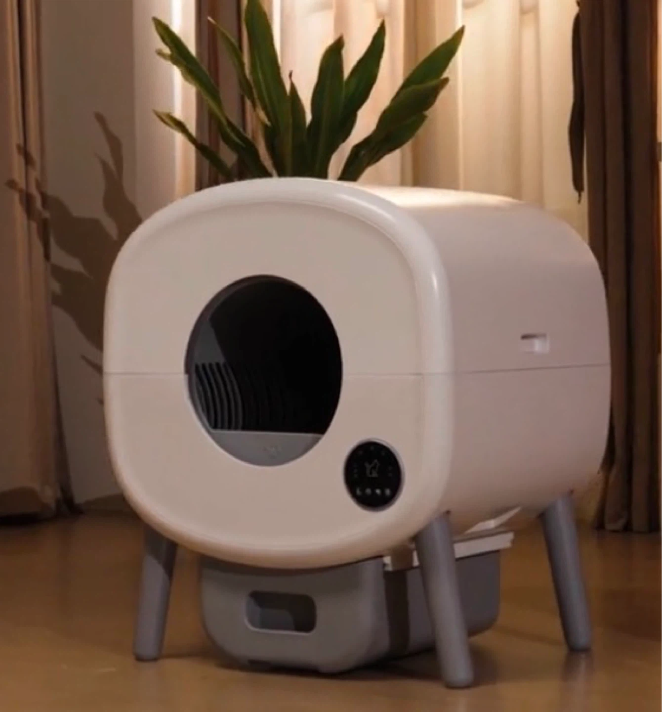 Smart Automatic Self-Cleaning Sandbor for Cat