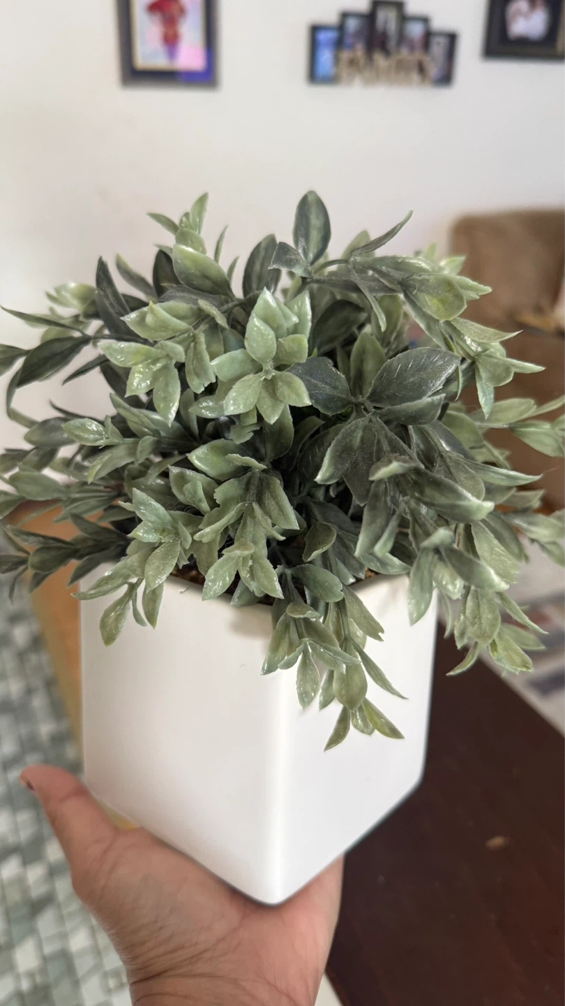Artificial Green Plant in White Square Pot