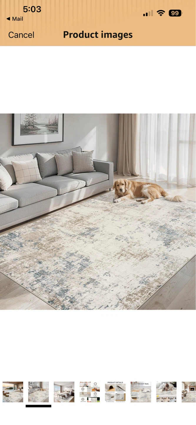 8x10 Washable Area Rug