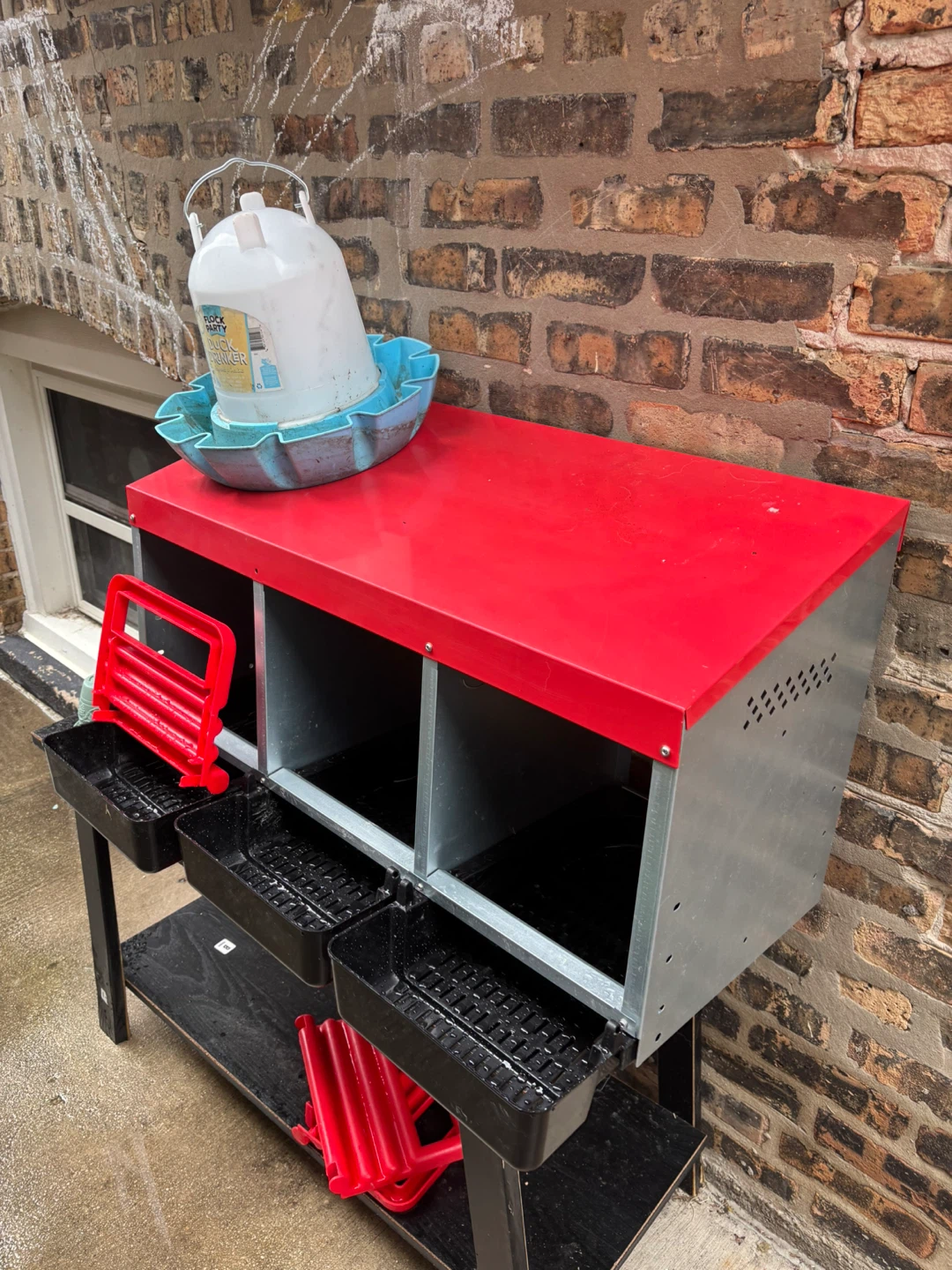 Little Giant 3 Hole Nesting Box with Feeder