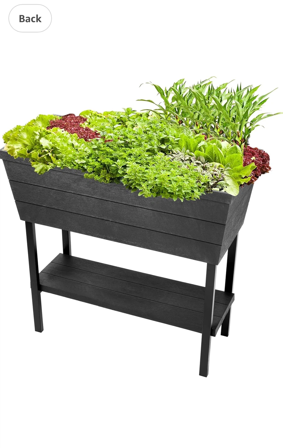 Keter Urban Bloomer 12.7 Gallon Elevated Garden Planter