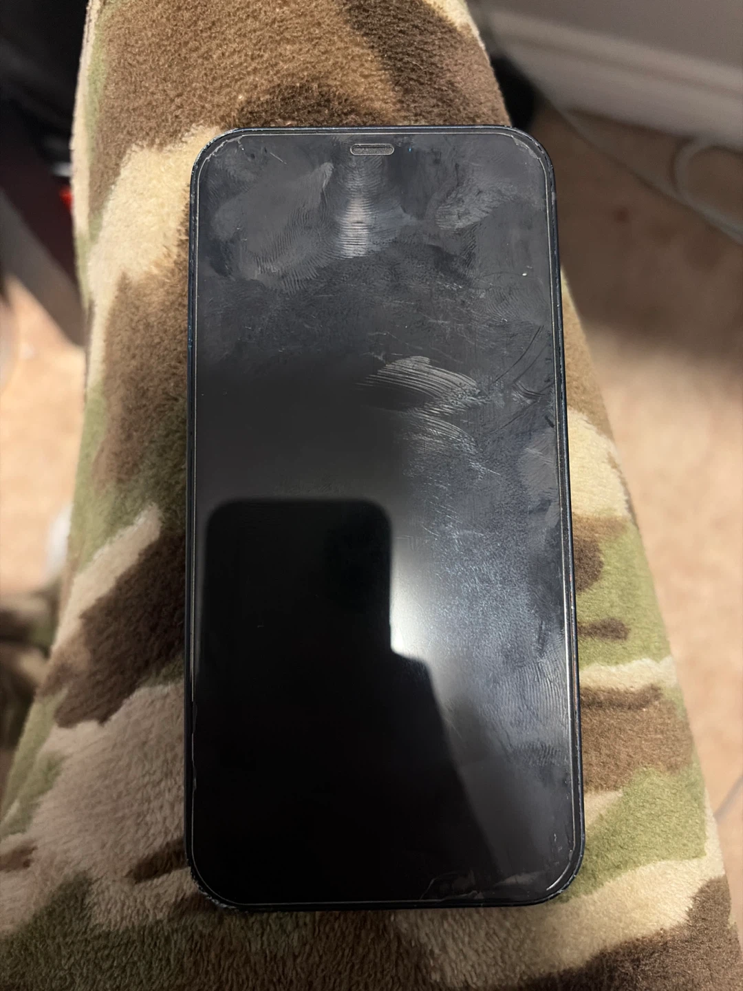 iPhone 12 - photo 2
