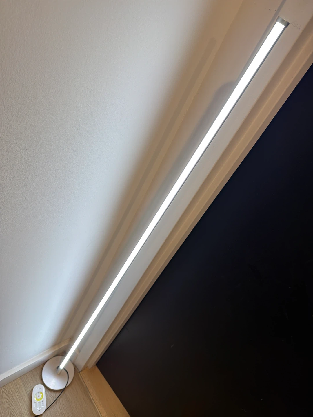 Slim LED Floor Lamp with Remote