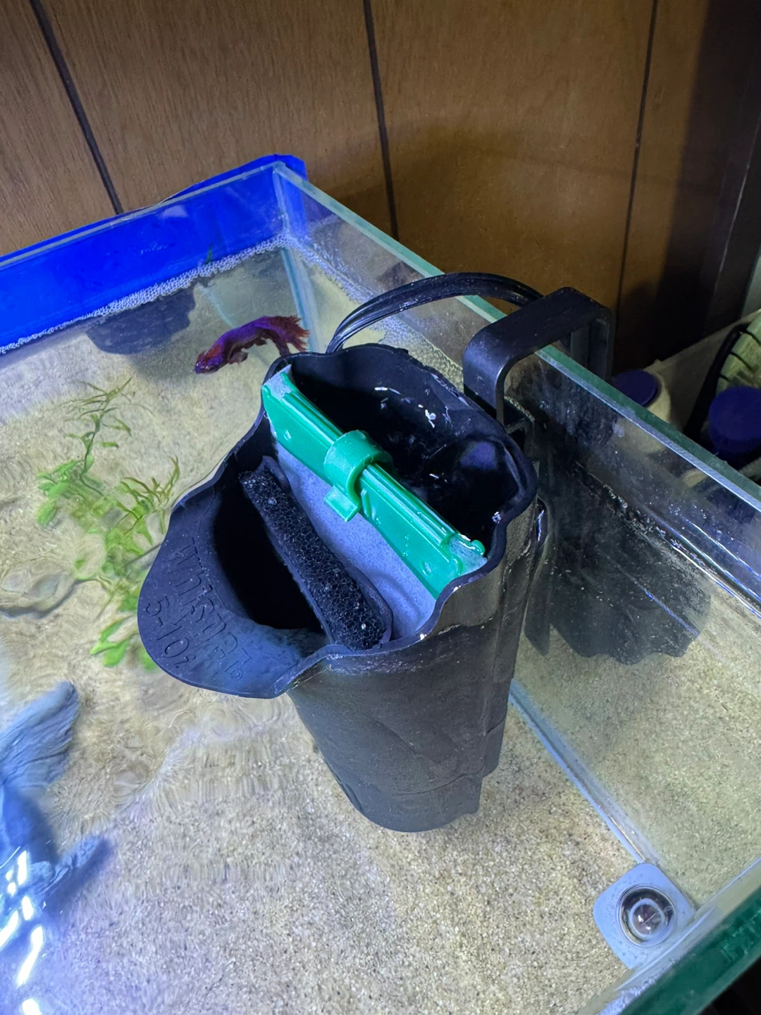 RIMLESS TANK+LED LIGHT+HEATER+FILTER +SAND+DECOR+PLANTS & MORE - photo 3