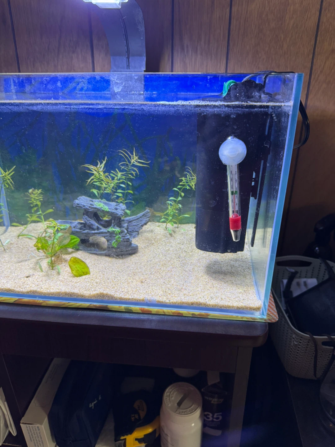 RIMLESS TANK+LED LIGHT+HEATER+FILTER +SAND+DECOR+PLANTS & MORE - photo 2