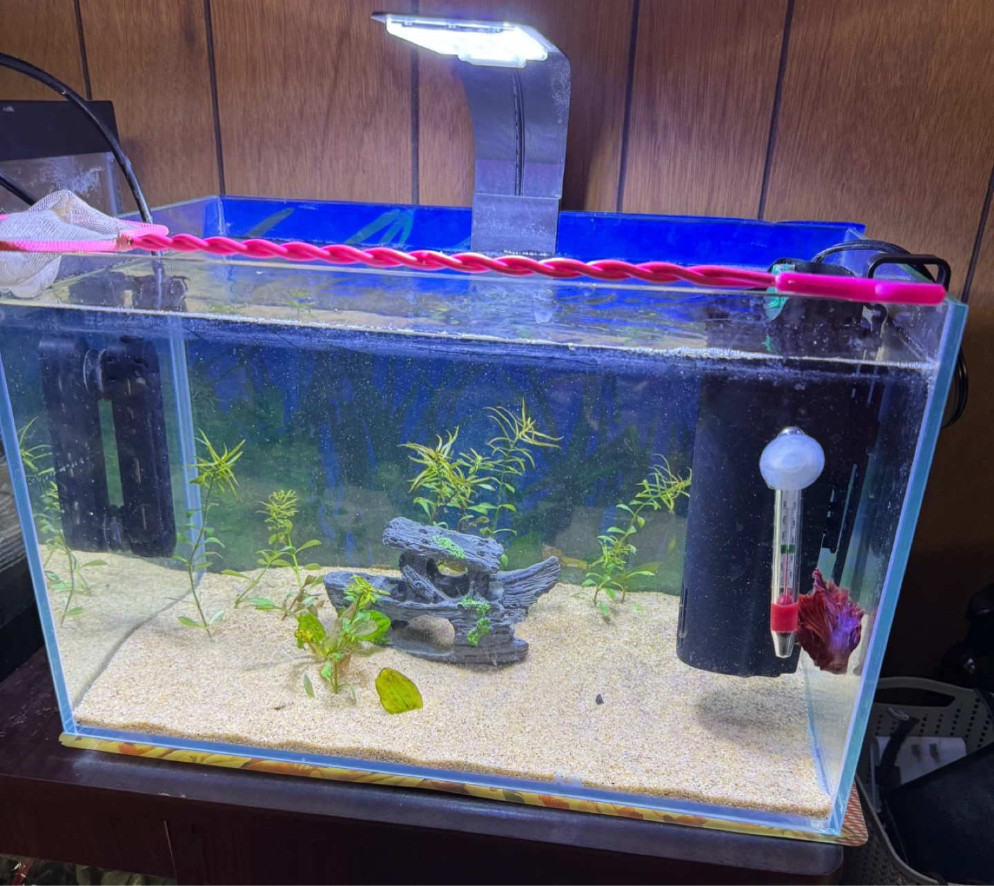 RIMLESS TANK+LED LIGHT+HEATER+FILTER +SAND+DECOR+PLANTS & MORE