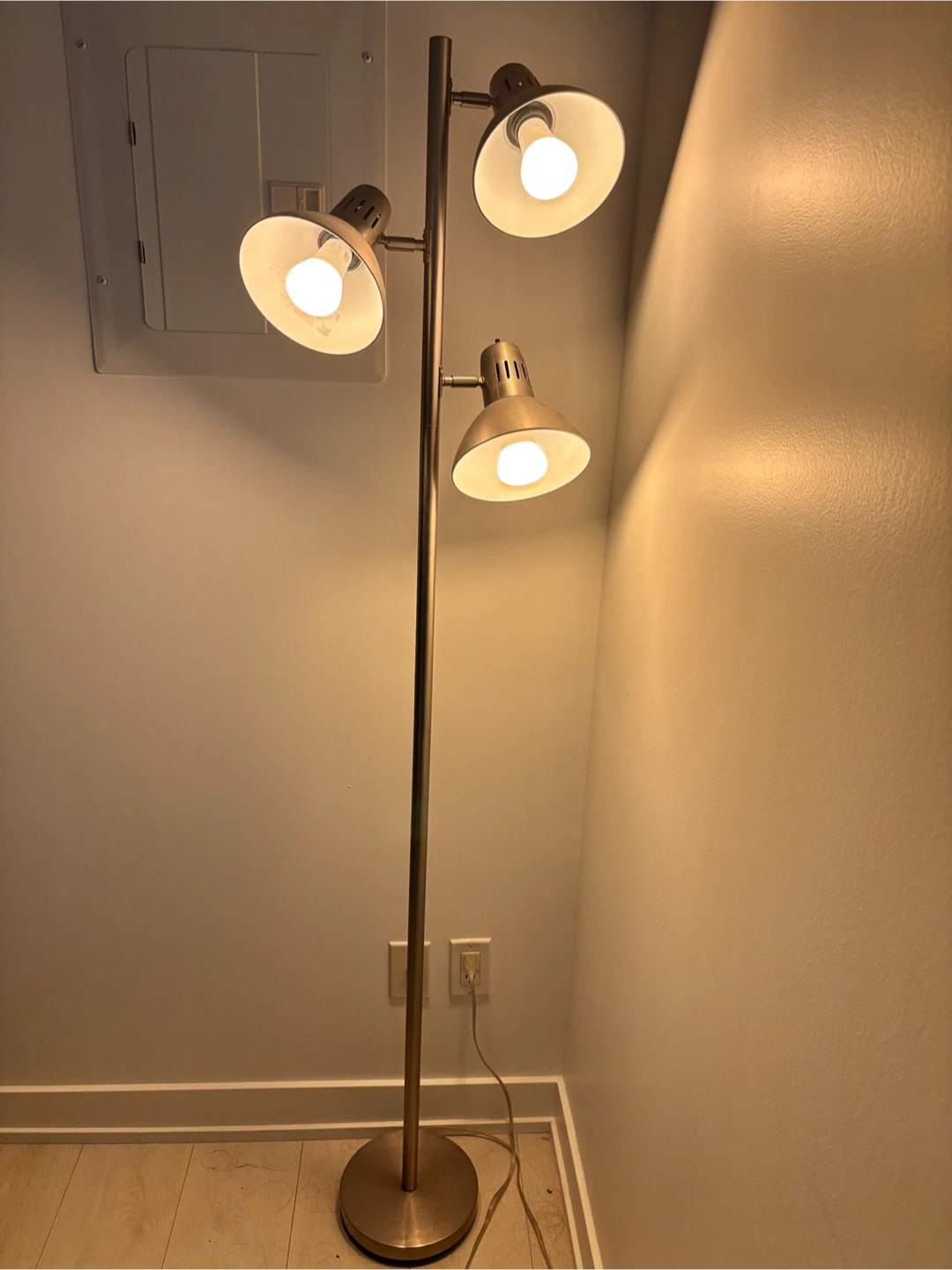 Adjustable Floor Lamp with 3 Heads