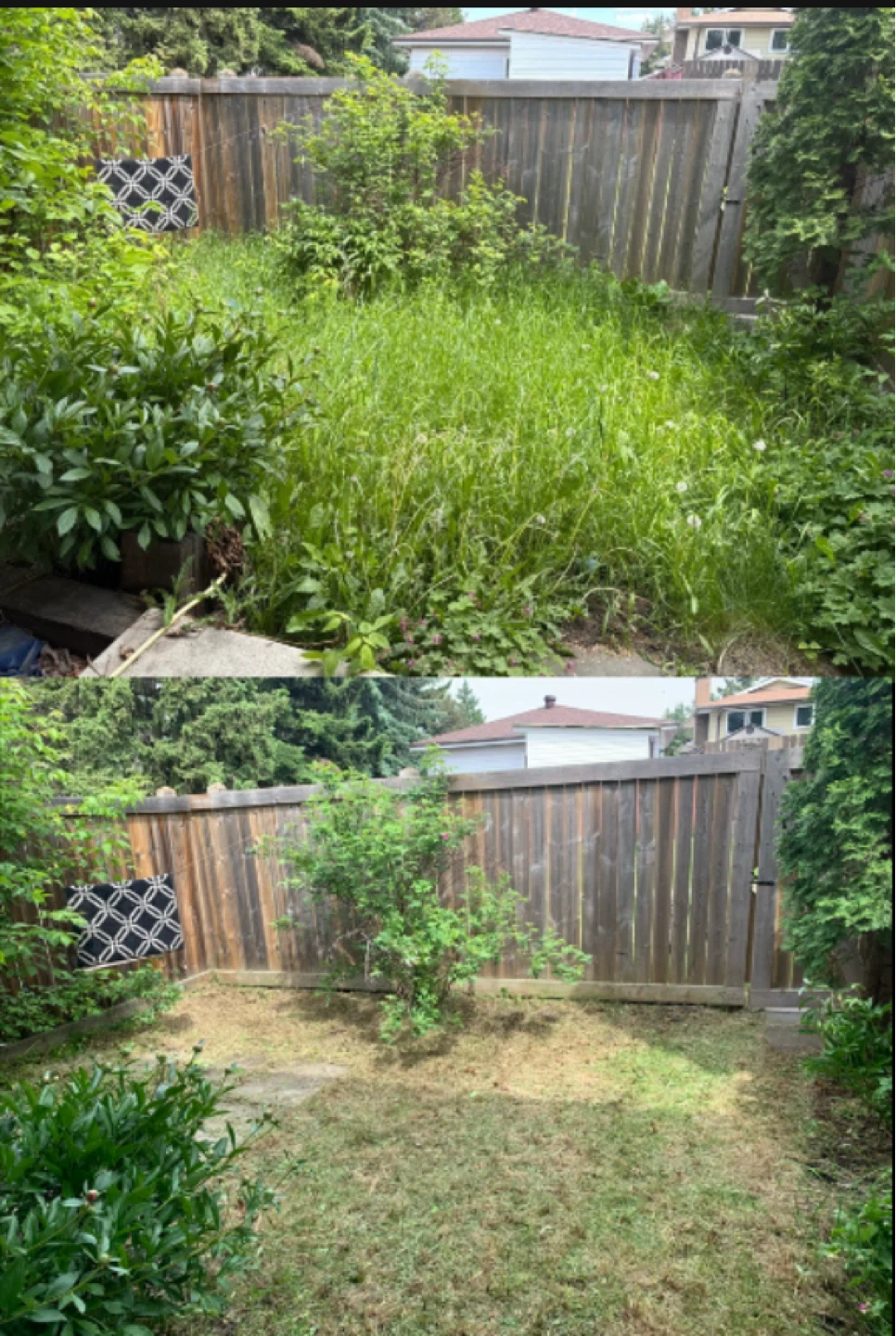 Year-Round Yard Services - photo 2