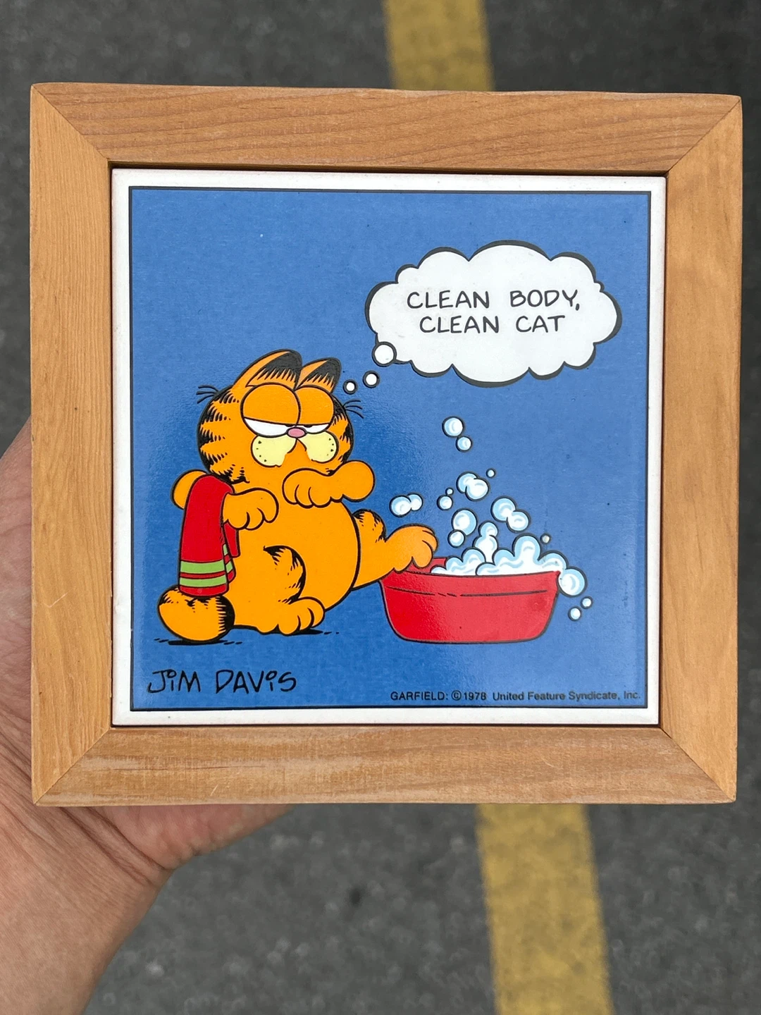 Garfield "Clean Body, Clean Cat" Framed Art