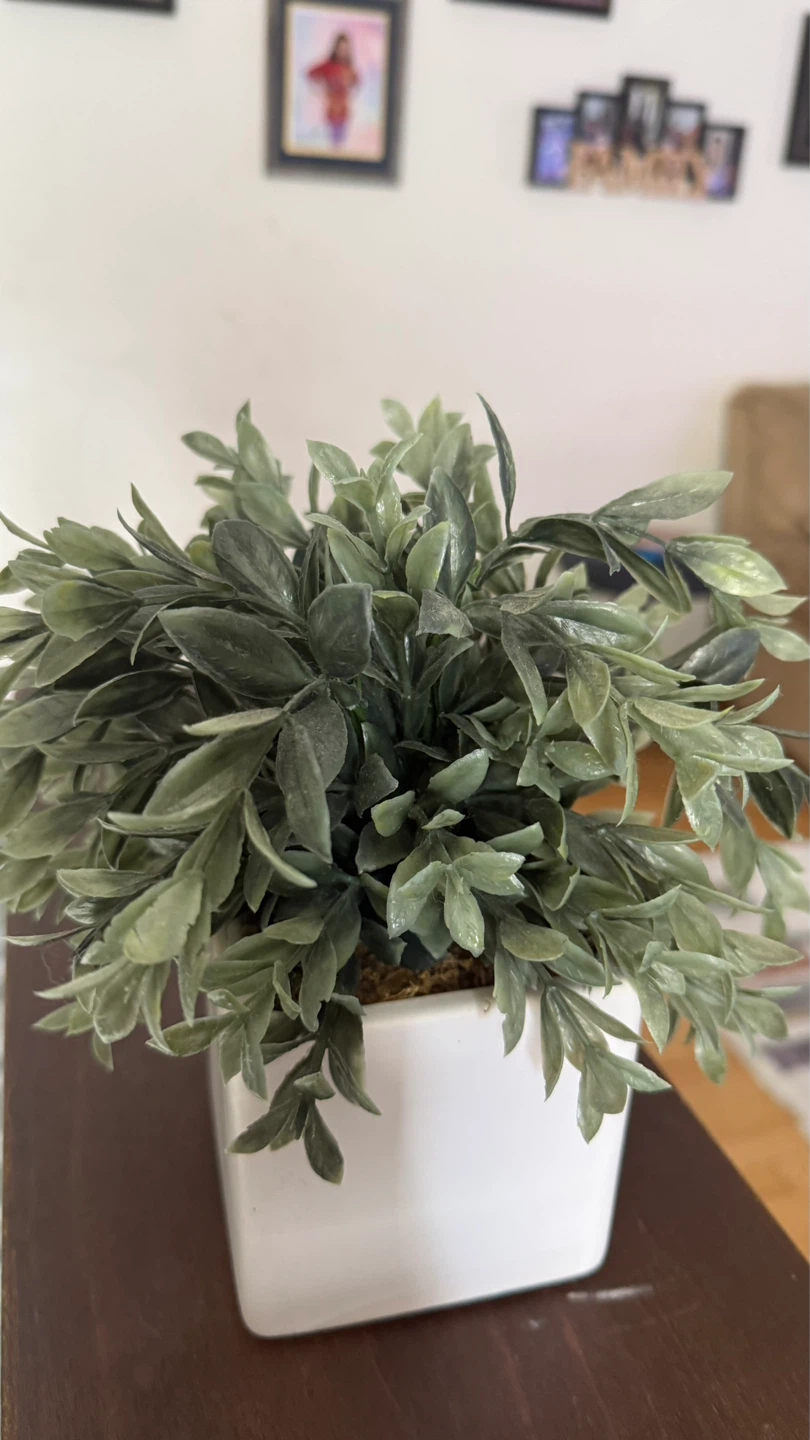 Artificial Faux Plant in White Ceramic Pot - photo 2