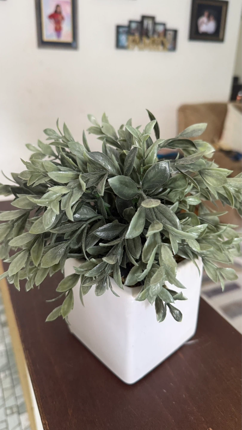 Artificial Faux Plant in White Ceramic Pot - photo 5