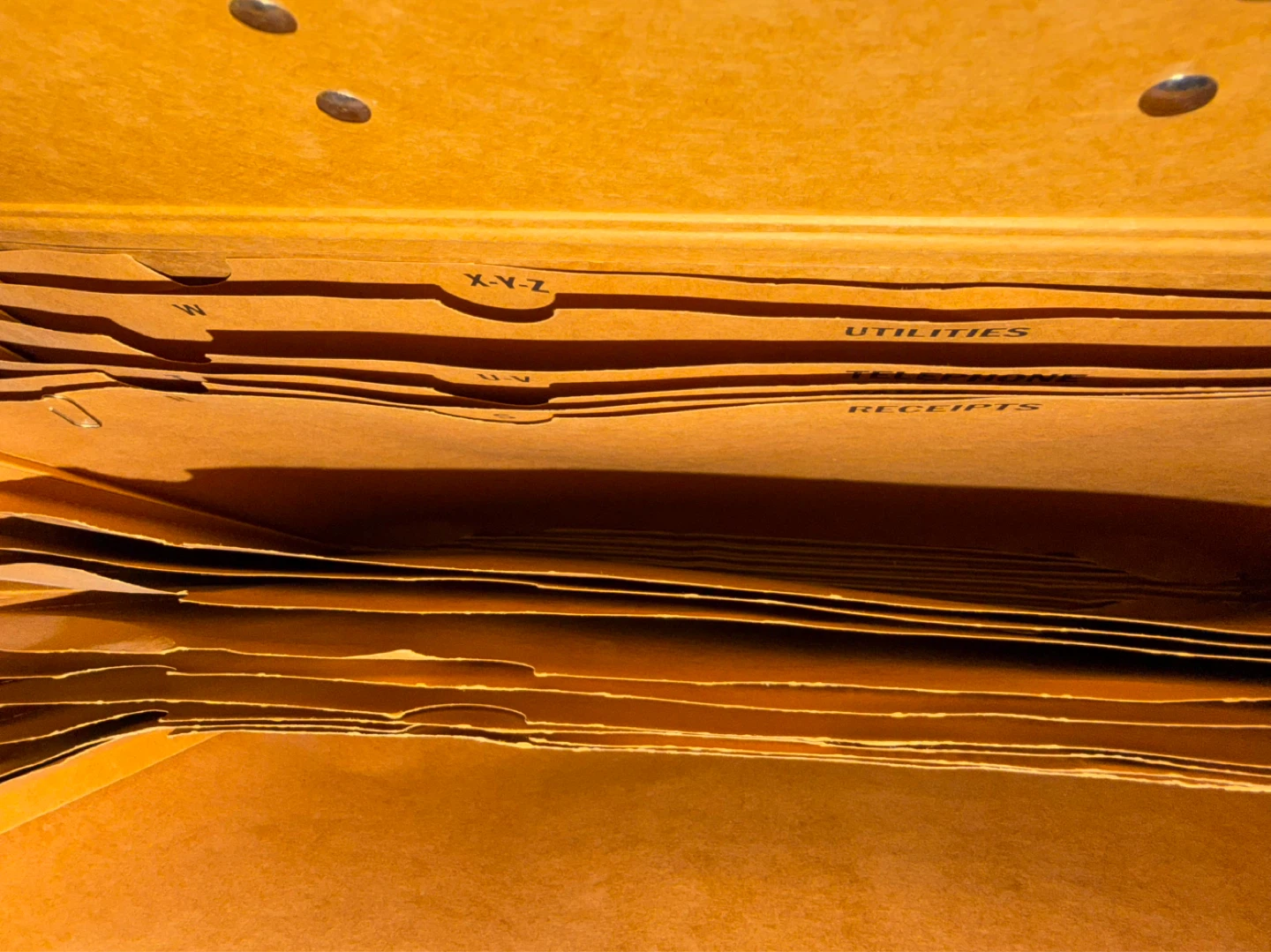 Filing Box with Dividers - photo 3