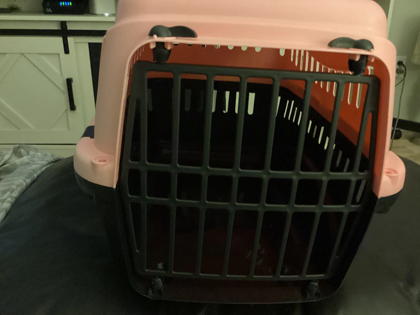 Pink Pet Carrier - photo 2