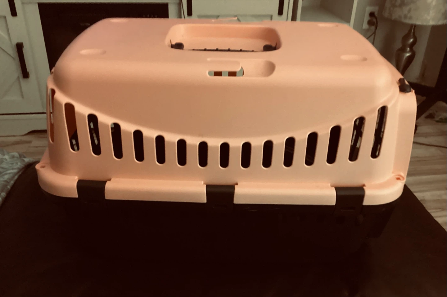 Pink Pet Carrier