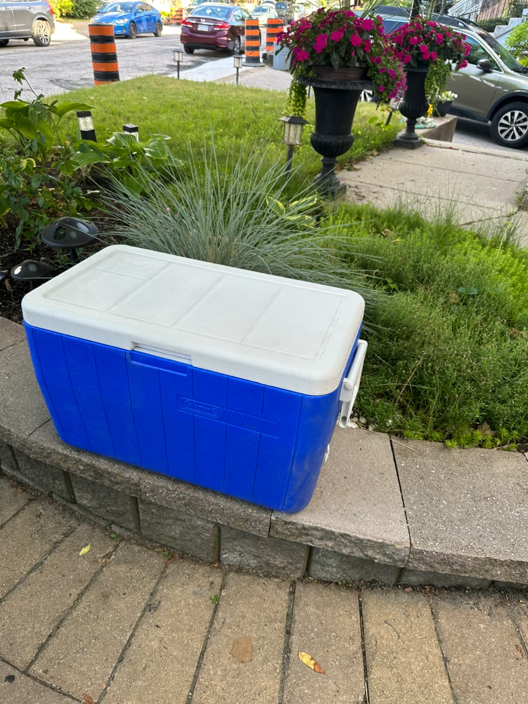 Coleman Blue Cooler