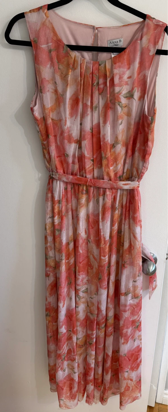 Alexa B Nites Floral Dress Size 12