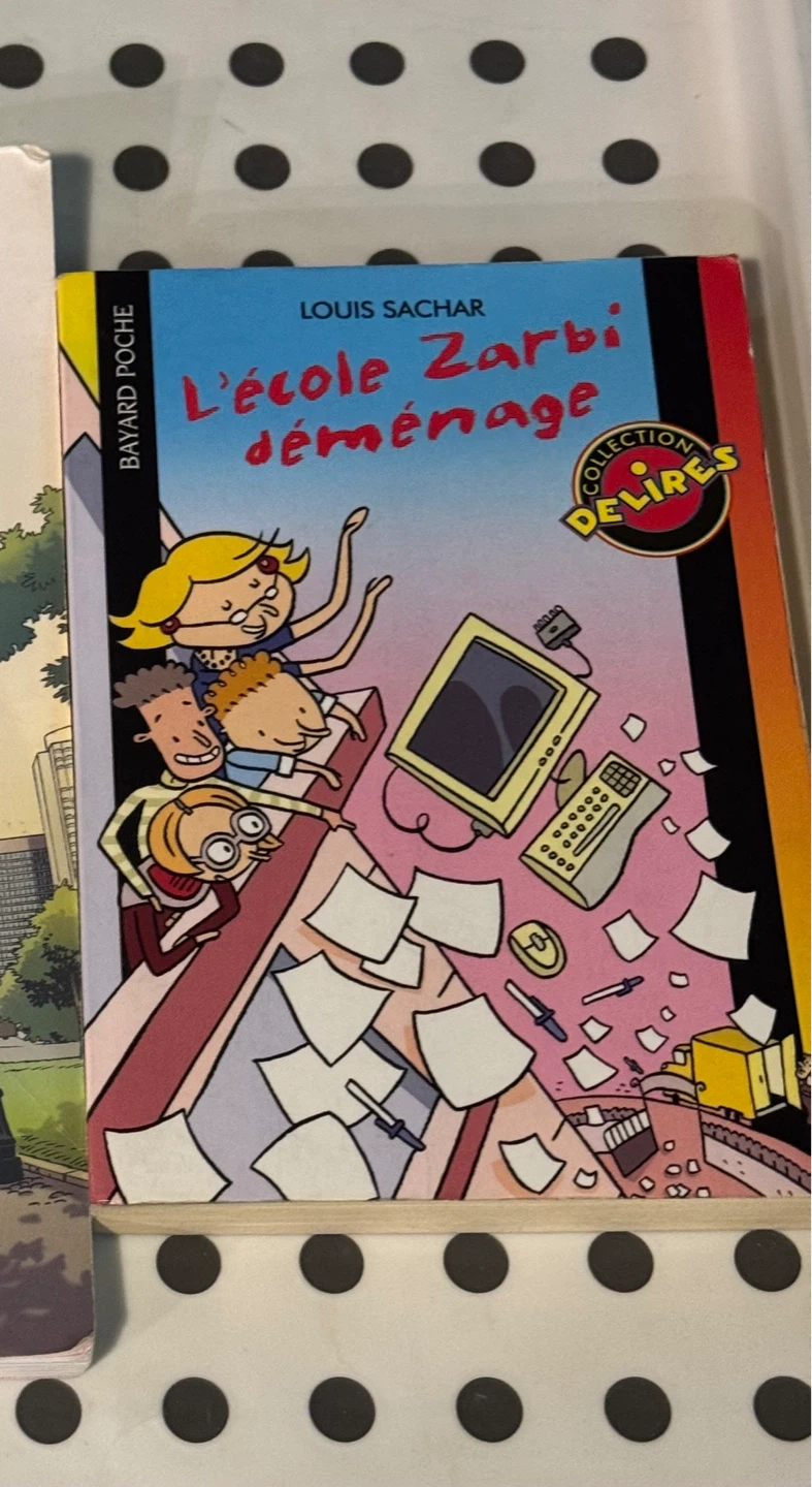 French Books for Tweens/Teens - photo 4