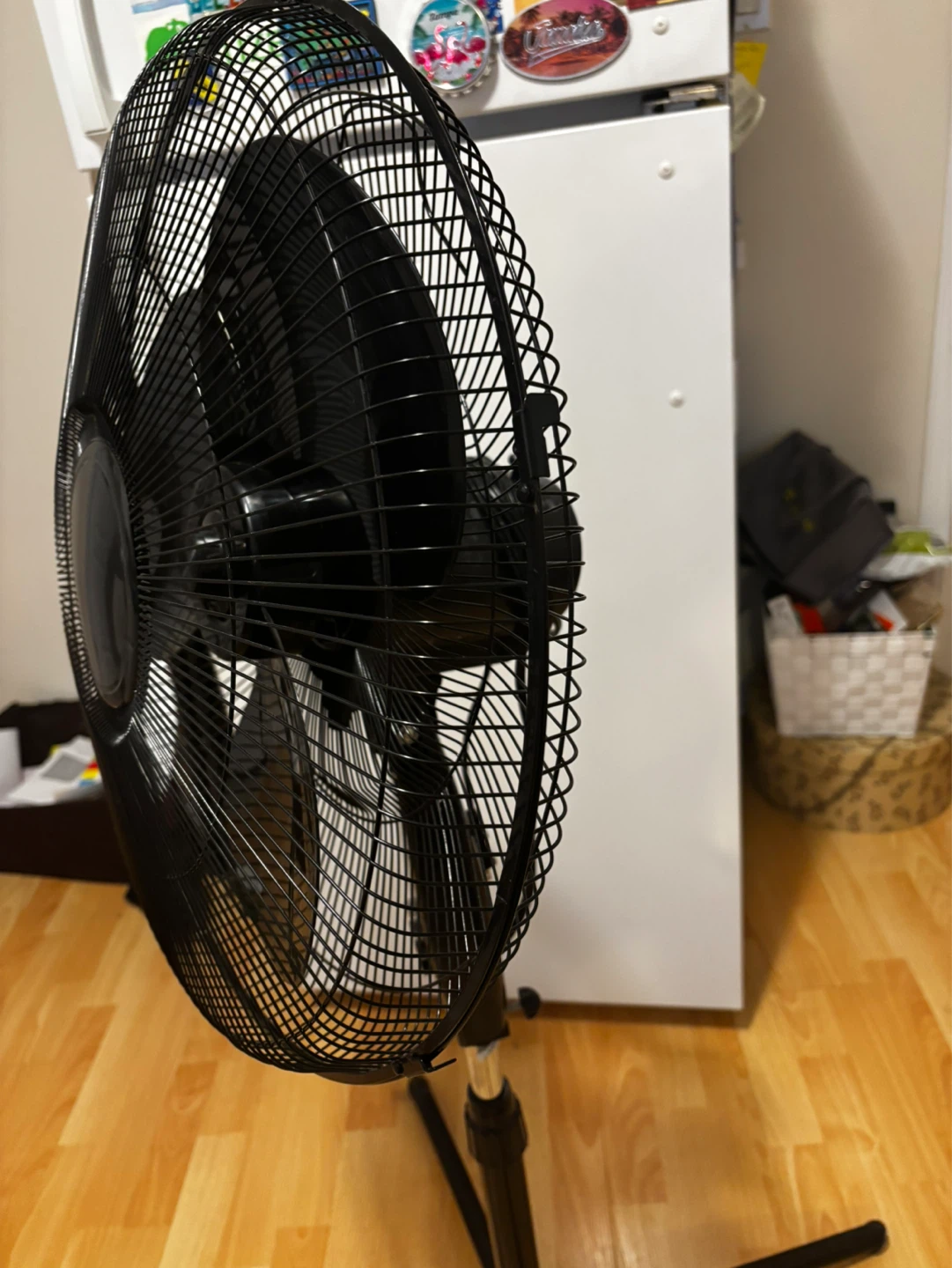 Fan - photo 3