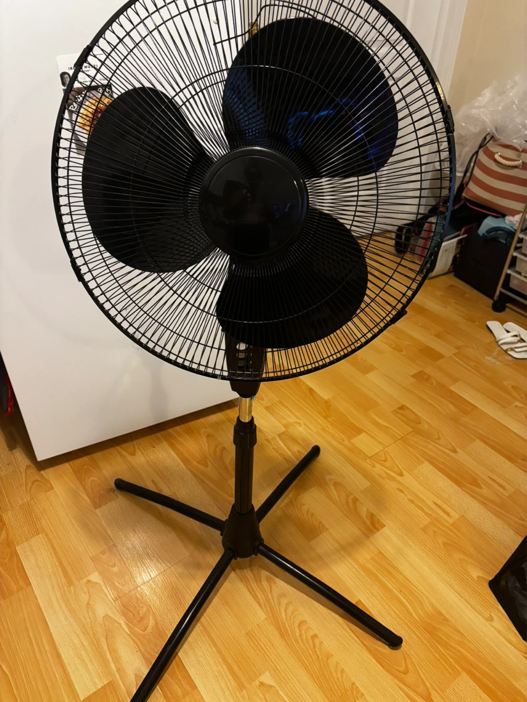 Fan