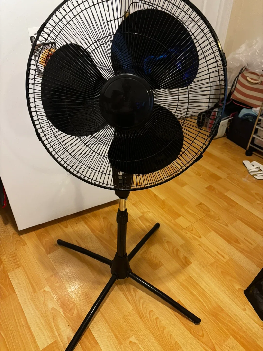 Fan