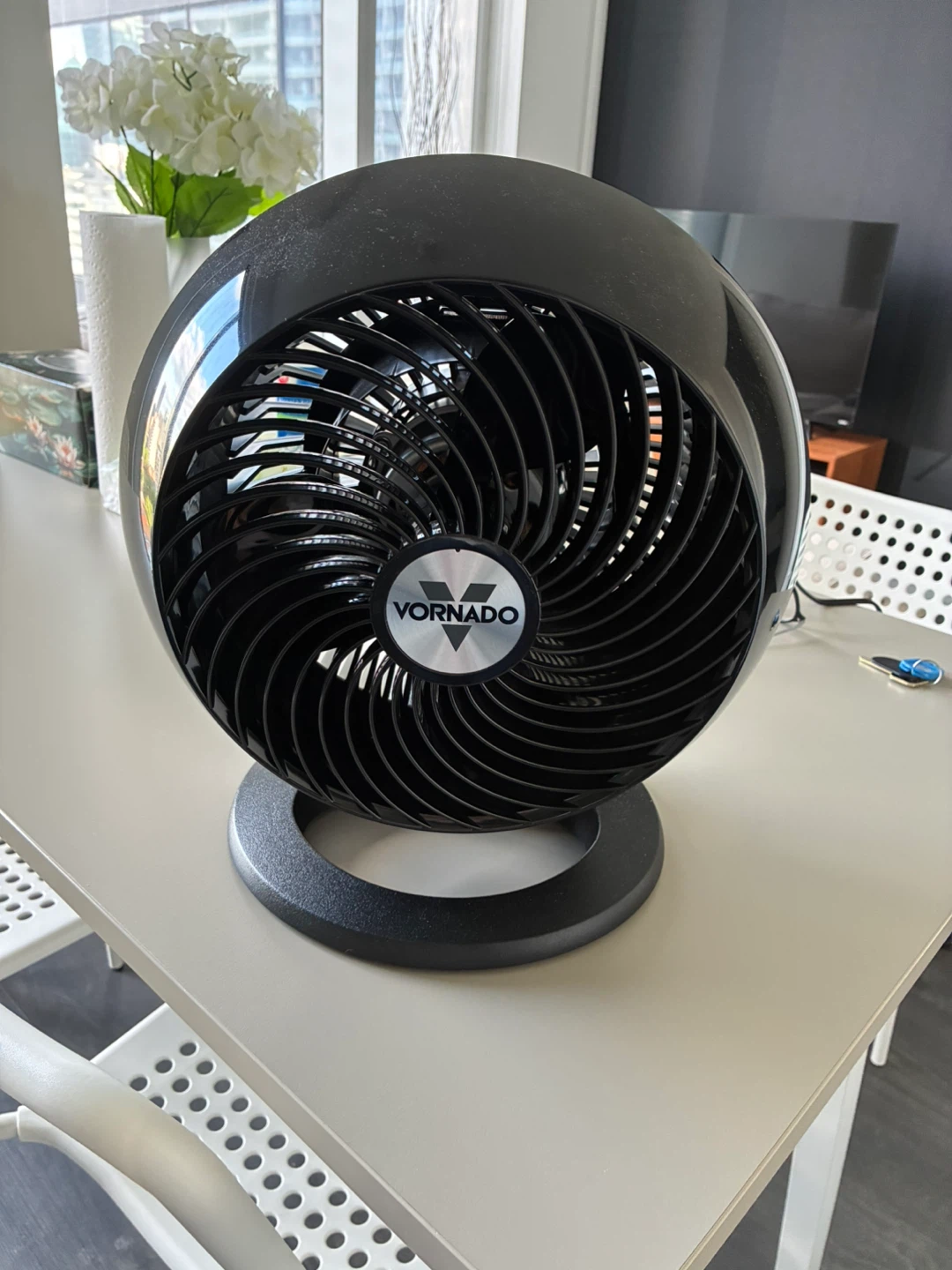 Vornado Black Personal Fan