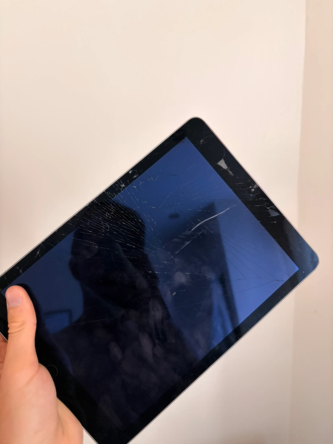 Apple iPad Air 2 - 64GB - Silver - photo 4