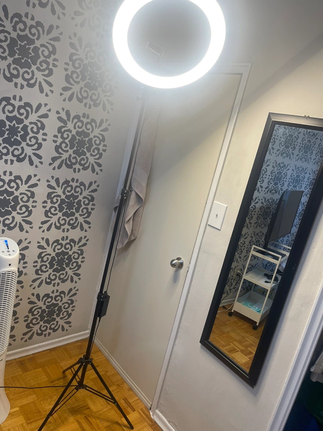 Ring Light with Stand