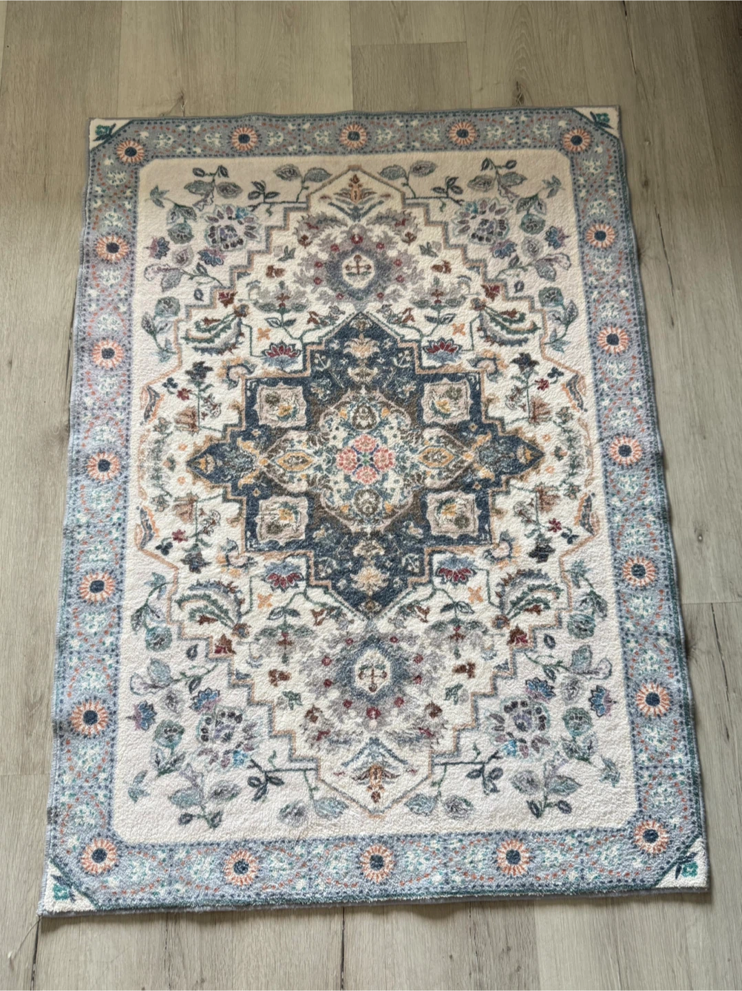 Persian Style Accent Rug