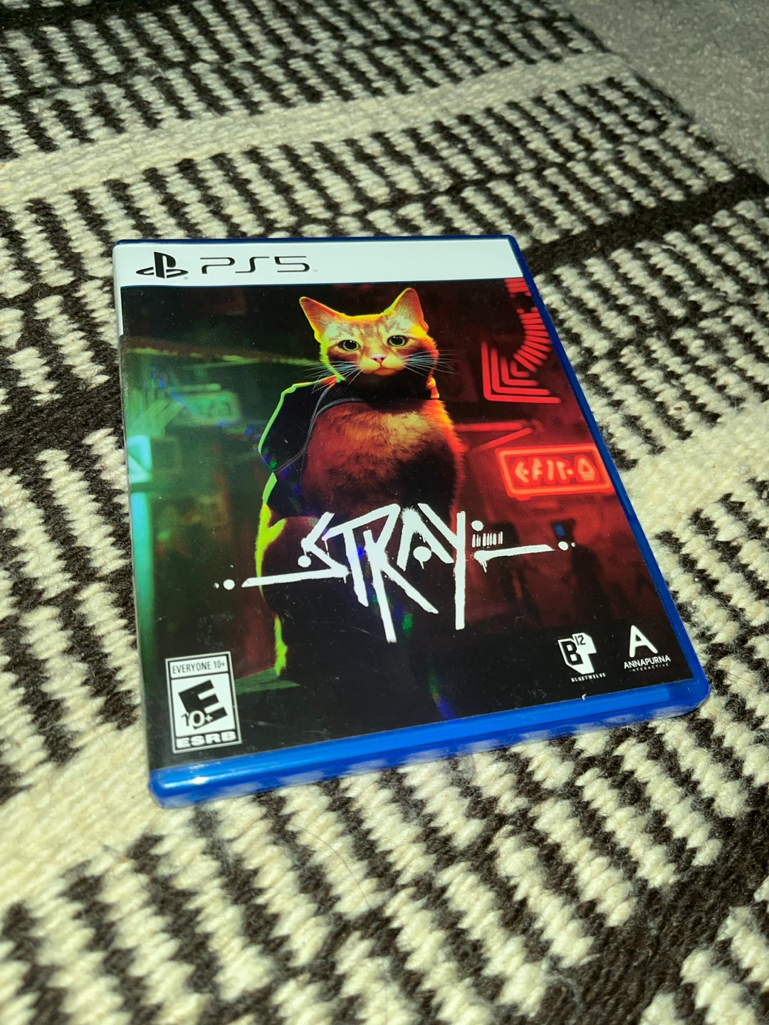 Stray (PS5)