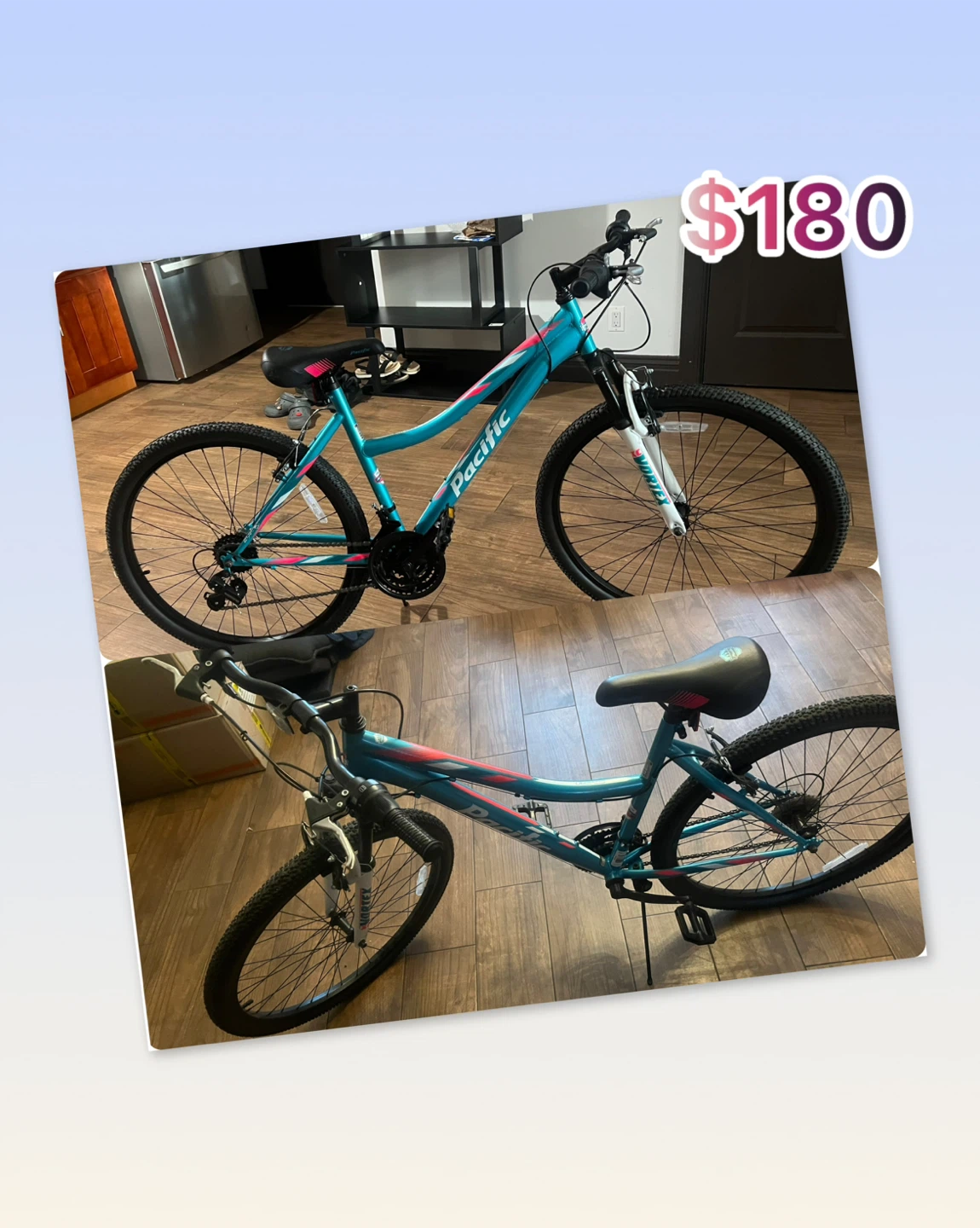 Pacific Teal Mountain Bike