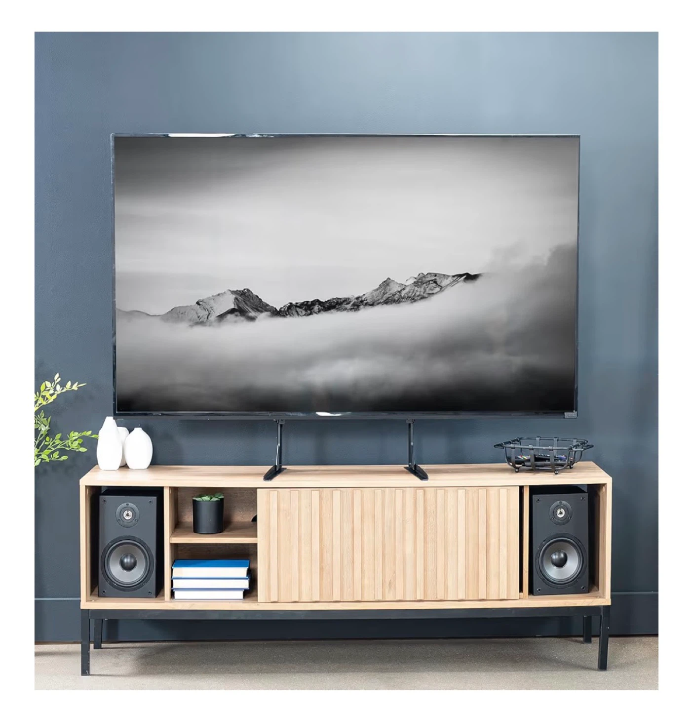TV Mount - photo 2