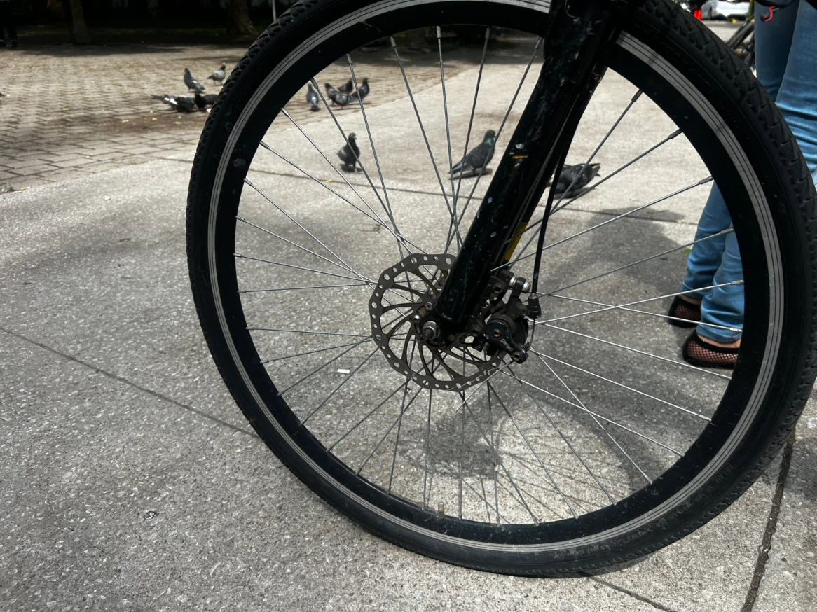 Daymak Paris Electric Bike - photo 3