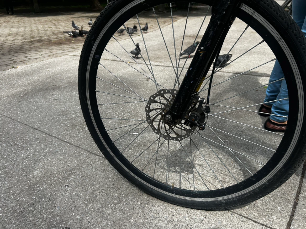 Daymak Paris Electric Bike - photo 4