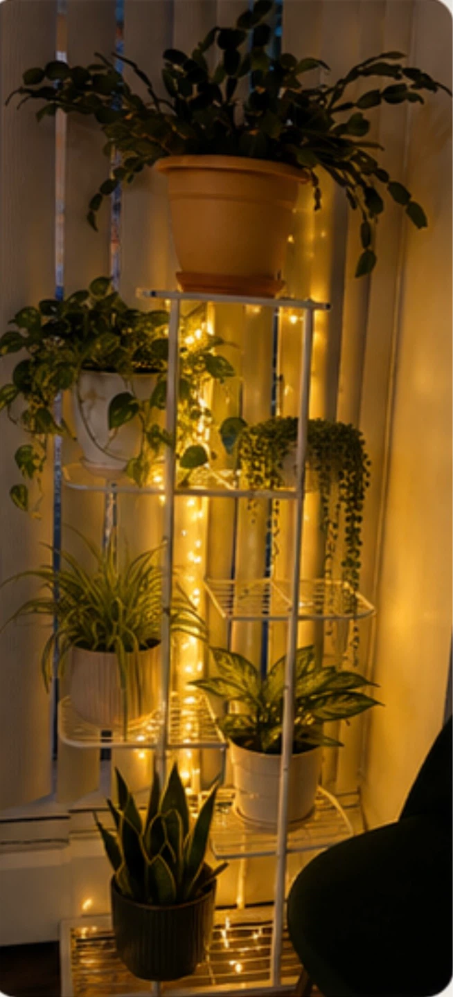 White metal plant stand with fairy lights