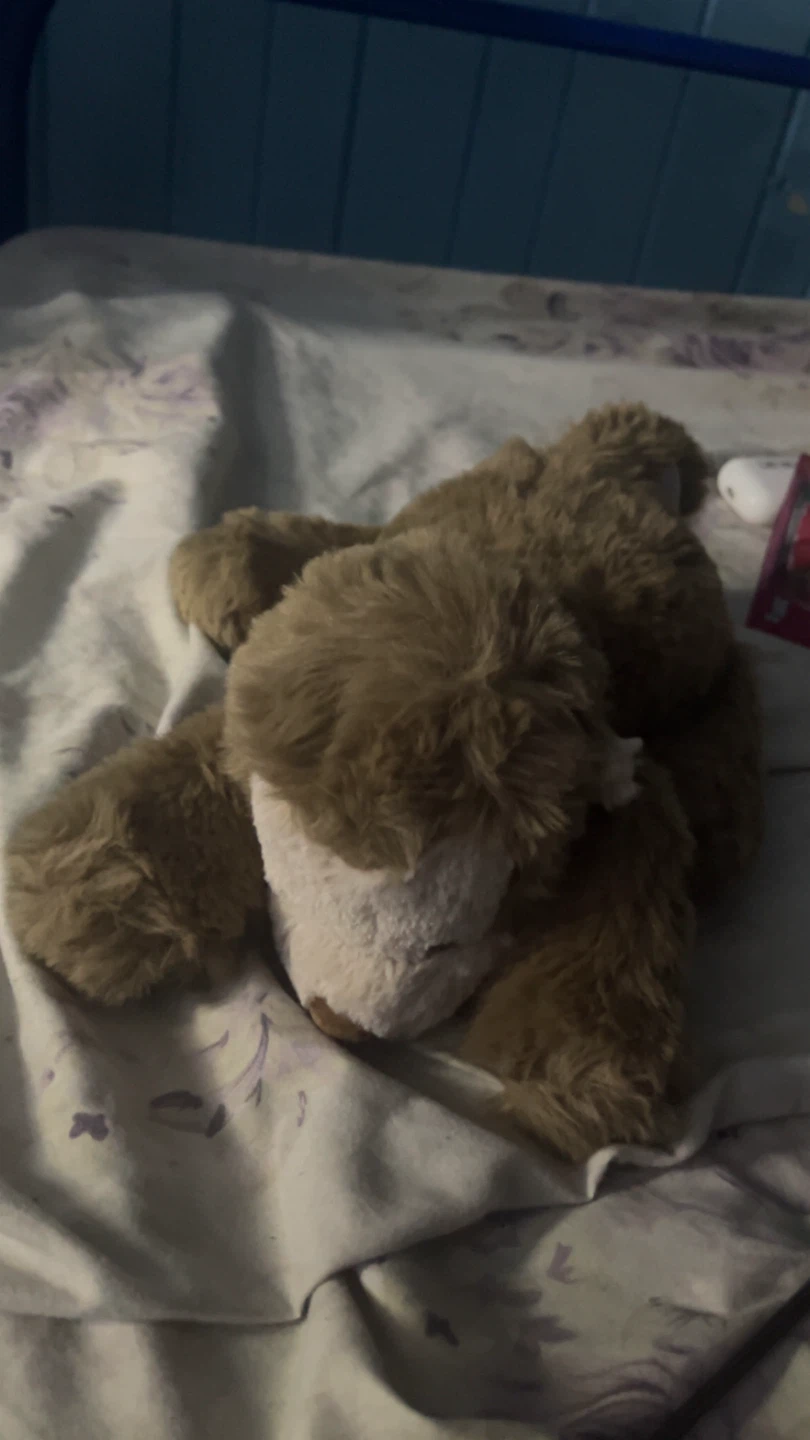 Jellycat Brown Plush Toy - photo 3