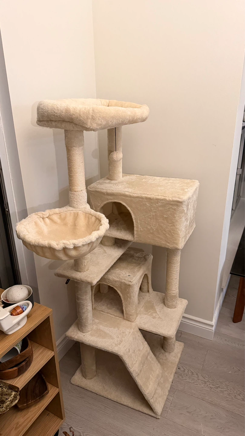 NEW🐱 Luxury Cat Condo/Tree House Seeking a Cat Tenant 🐱