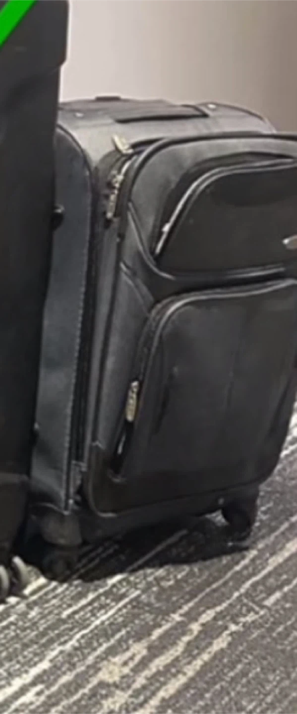 Free carry on when you buy 30" inches Checked Luggages - photo 3