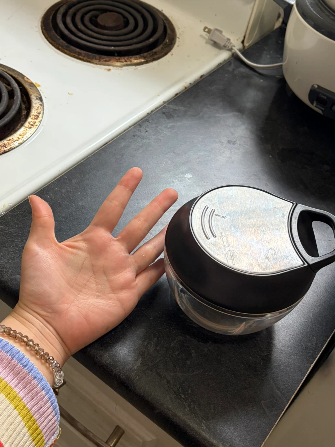 Manual Food Chopper - photo 2