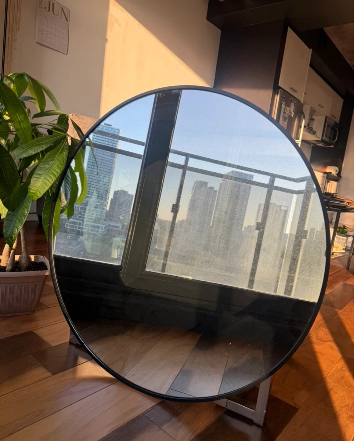 Round Metal Frame Mirror (30in diameter)