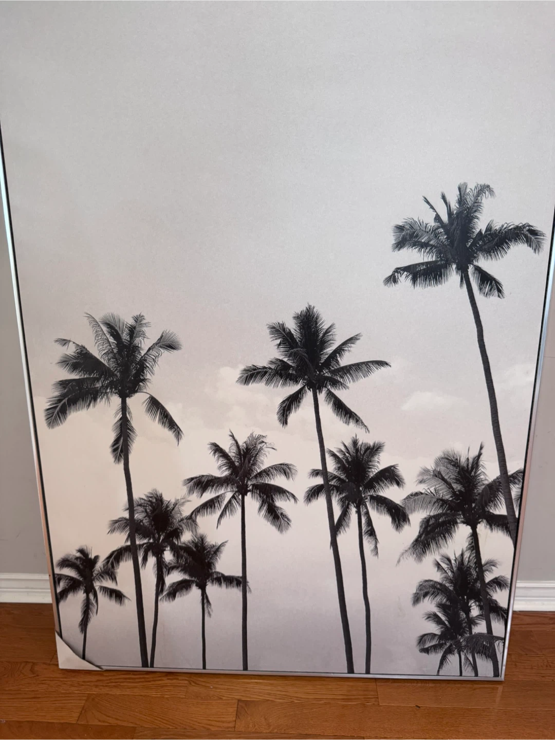 Framed Palm Tree Wall Art