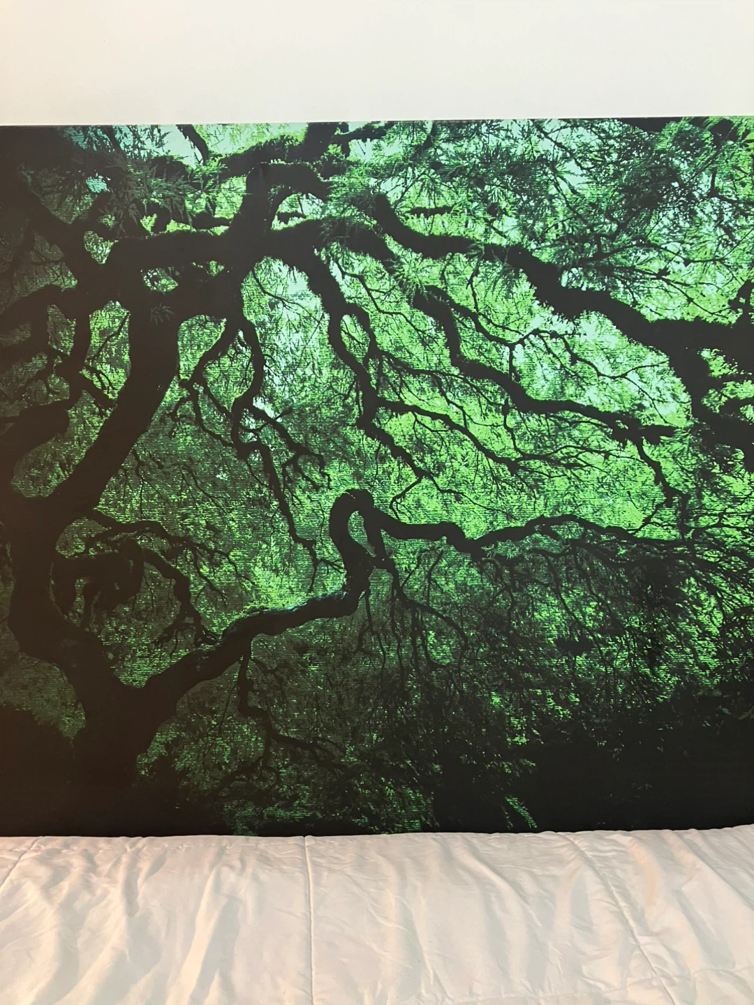 Japanese Dark Tree Gallery Wrapped Canvas - 36 x 48 - photo 2