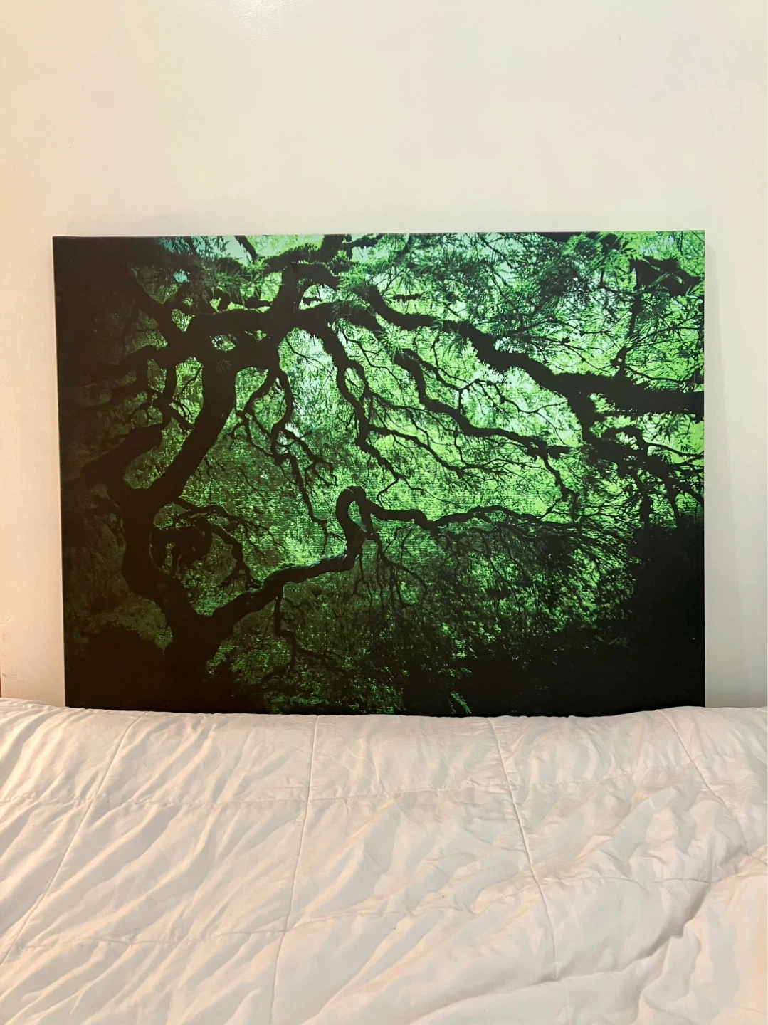 Japanese Dark Tree Gallery Wrapped Canvas - 36 x 48
