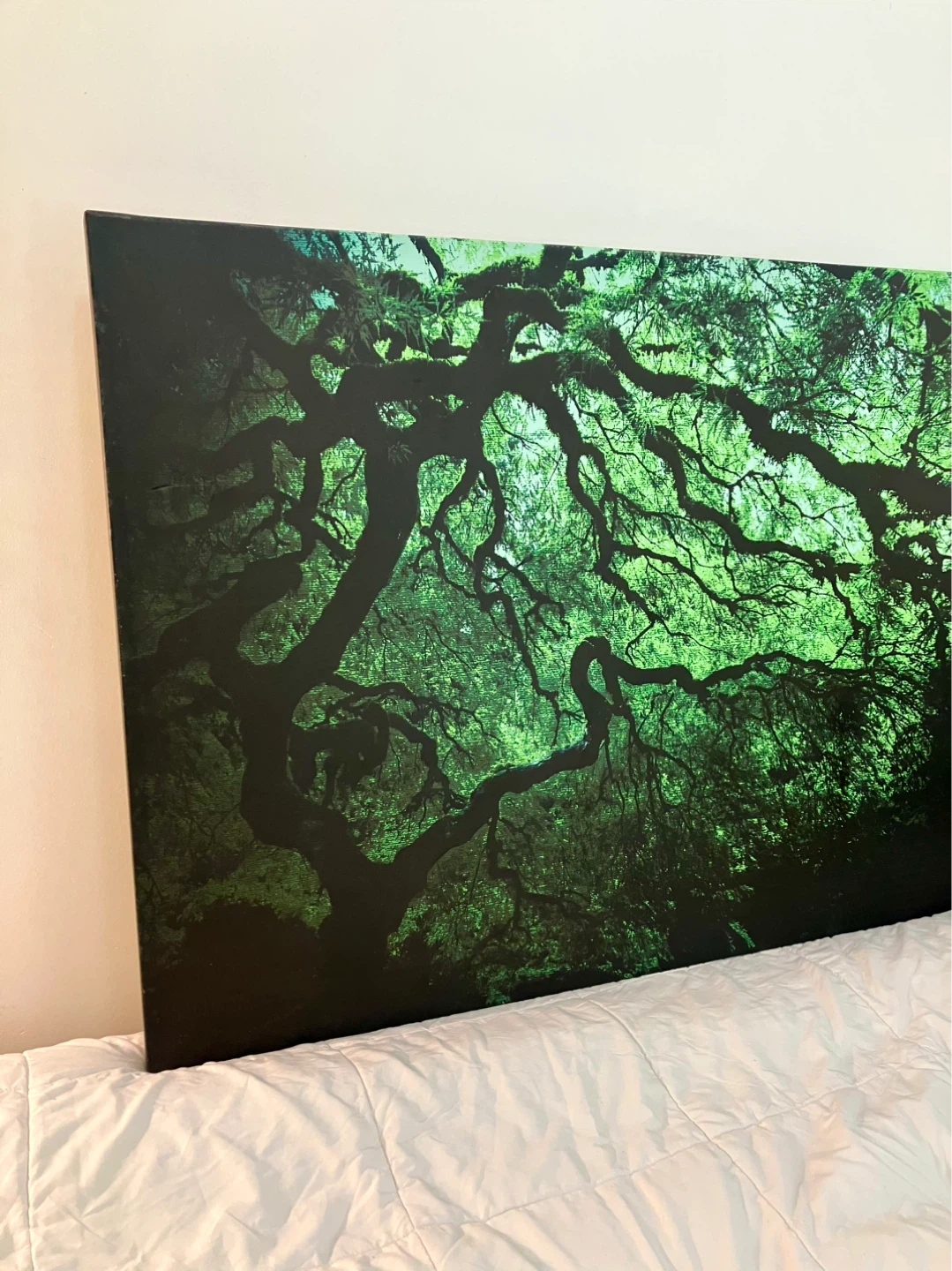 Japanese Dark Tree Gallery Wrapped Canvas - 36 x 48 - photo 4